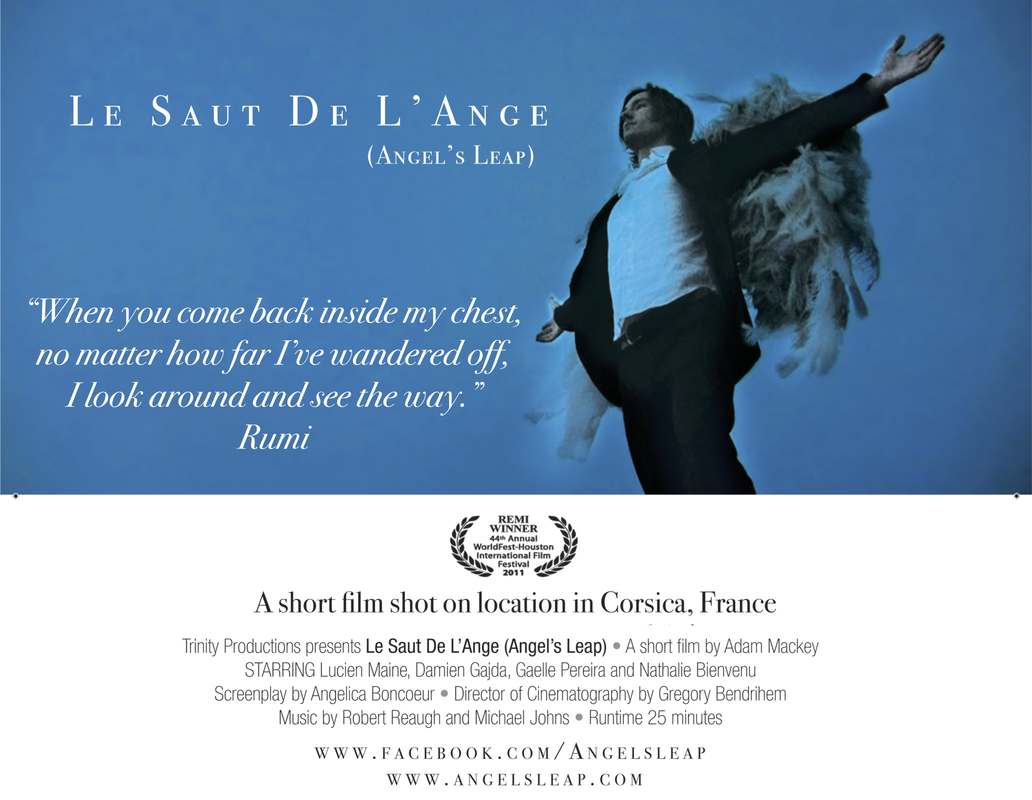 Le Saut De L'Ange Movie Poster